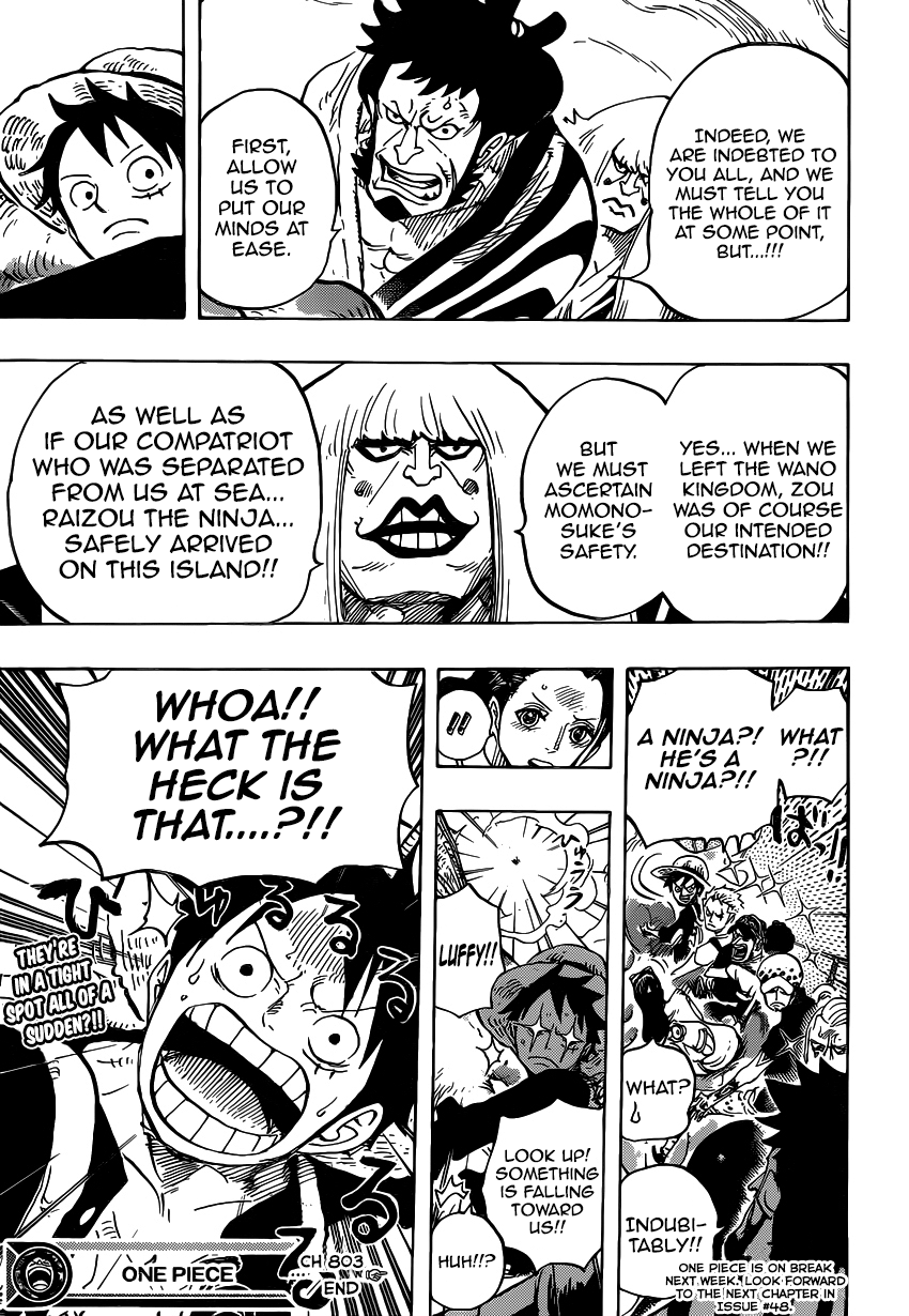 One Piece, Chapter 803 image 14